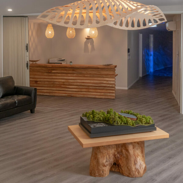 GAIA (EARTH) Forest Preschool