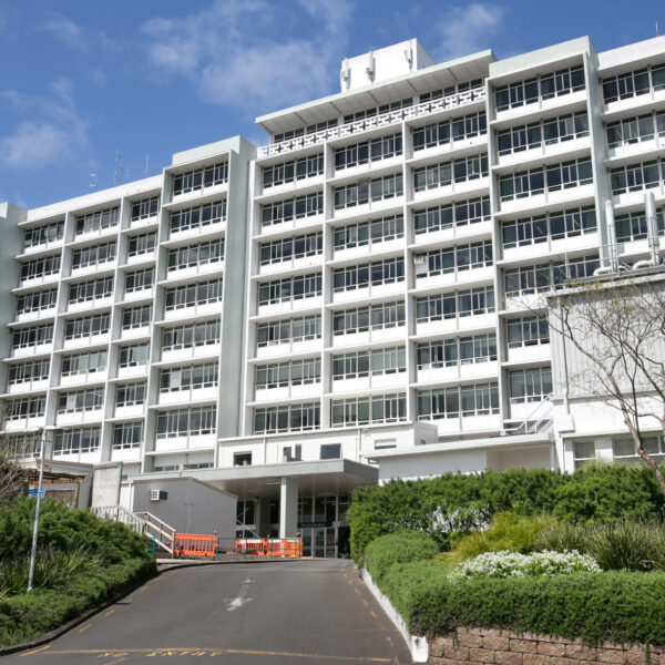 waikato hospital