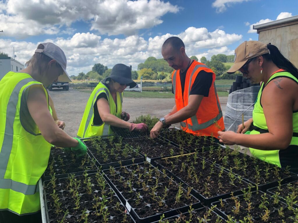 RDT Pacific staff support a Puniu River Care Open Day at their Tokanui nursery.