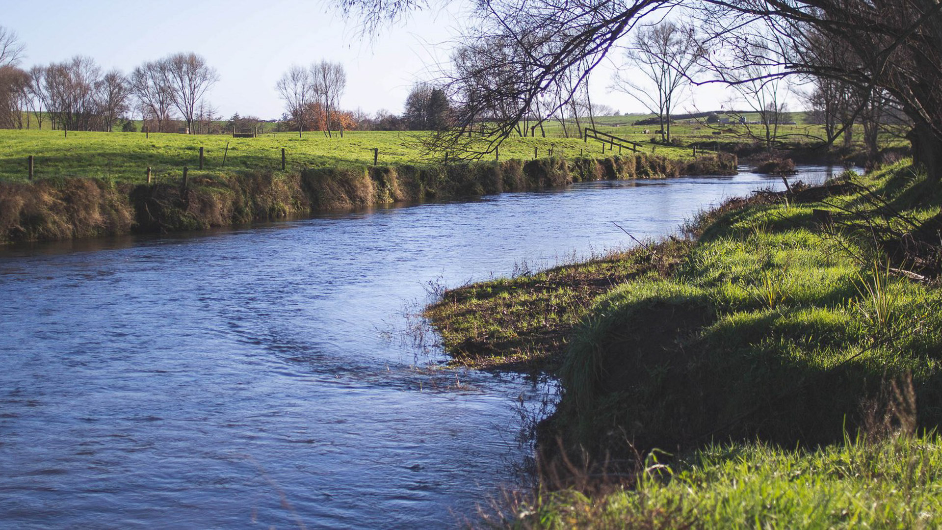 RDT Pacific project team applied a unique skillset to the final due diligence report for Pūniu River Care