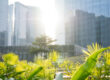 garden among modern buildings